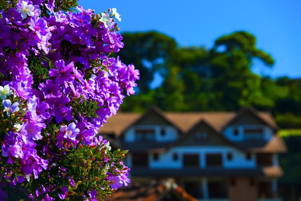 Pousada Dos Pinhos Hotel Pedra Azul  Eksteriør billede